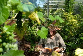 Tropical-Pavilion-19-Edit